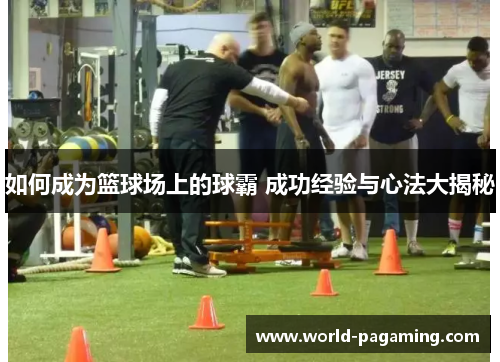 如何成为篮球场上的球霸 成功经验与心法大揭秘 如何成为篮球场上的球霸 成功经验与心法大揭秘