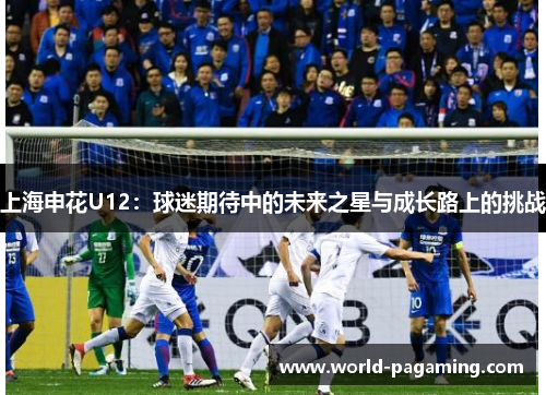 上海申花U12:球迷期待中的未来之星与成长路上的挑战 上海申花U12:球迷期待中的未来之星与成长路上的挑战