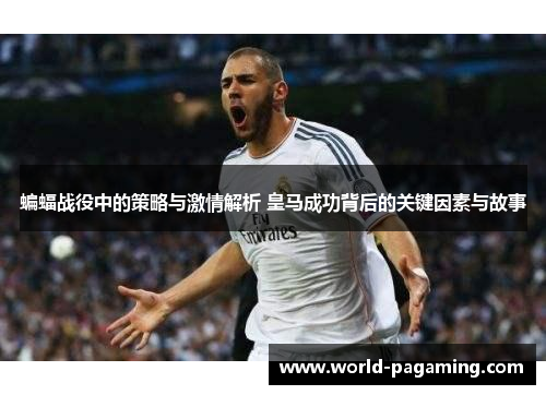 蝙蝠战役中的策略与激情解析 皇马成功背后的关键因素与故事