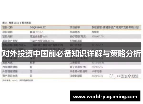 对外投资中国前必备知识详解与策略分析 对外投资中国前必备知识详解与策略分析